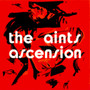 The Aints - Ascension VG+