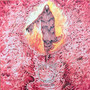 Halo of Teeth - Meditations On Dying M