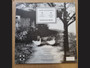 The Babe Rainbow - Acid and Honey (Gold LP) M