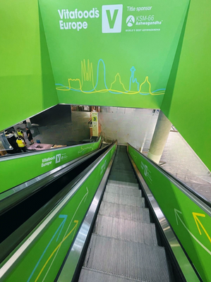 Branding of Escalator in Hall 3