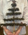 Primitive Feather Tree kit