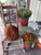 "BIG" (A very large Pumpkin) Rug Hooking Kit