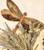Little Dragonfly Rug Hooking Kit