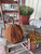 "Big" (A very large Pumpkin) Rug Hooking Kit