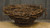 7 inch Grapevine Twig Nest