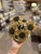 Set of 5 Primitive Black Eyed Susans Kit