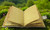 Halloween Leather Journal