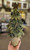 Large Rustic Terra Cotta Pot ~ Great tree or Pumpkin Base