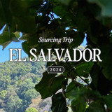 El Salvador Origin Trip with Roaster Patrick