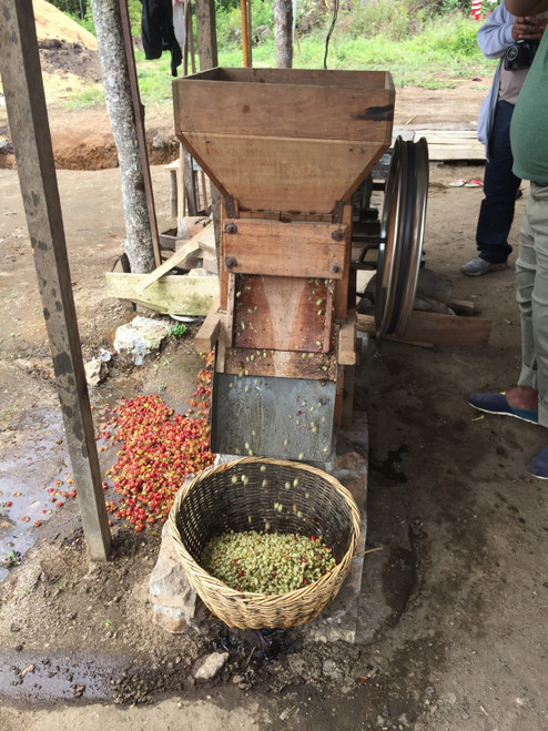 Mutu Batak - Bird Rock Coffee Roasters