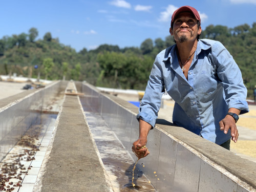 Santa Ana Pacamara