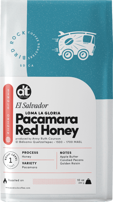 Loma La Gloria | Pacamara Red Honey