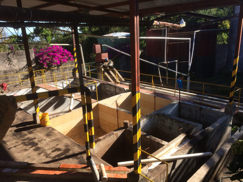 Loma La Gloria | Pacamara Red Honey