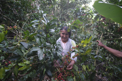 Orígenes Women’s Group