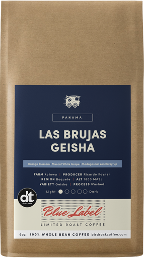 Las Brujas Geisha