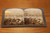 Stereoview Card - Great Union Stockyards