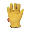 ILD-C5 PALM IMAGE