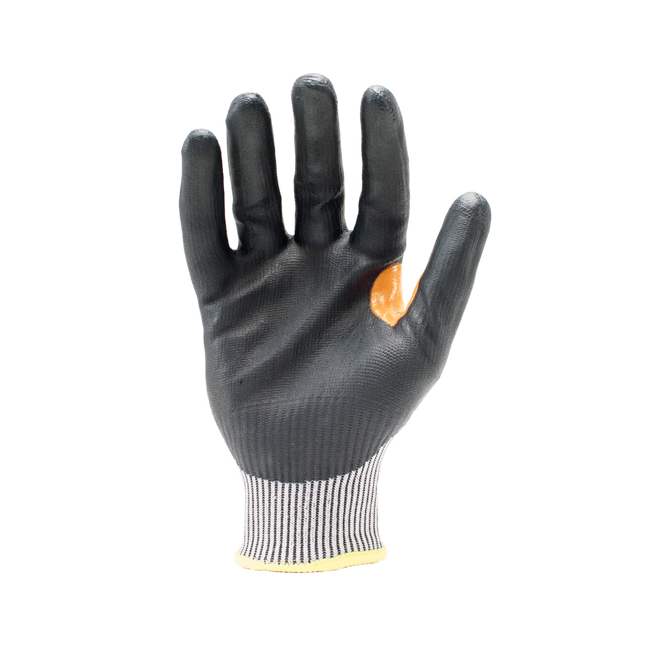SKC4FN-Palm-