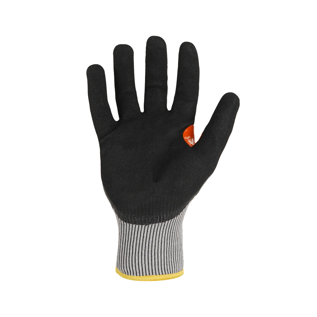 SKC4SN-Palm-