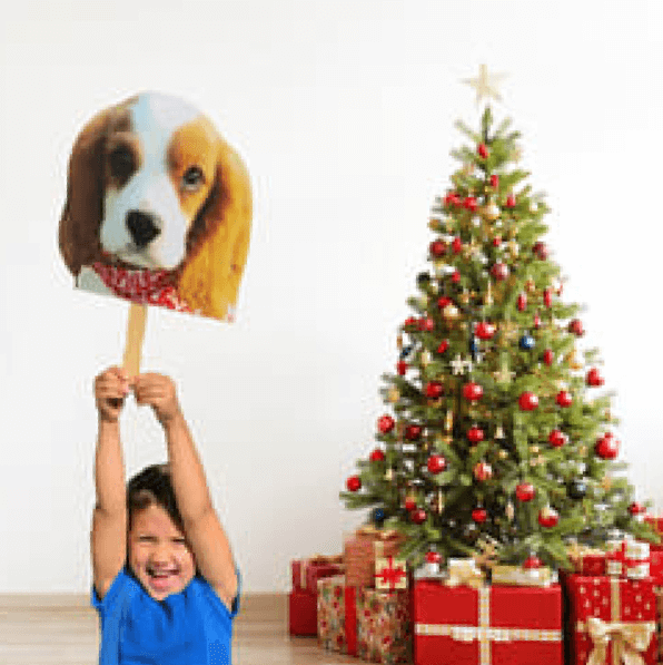 Christmas photo