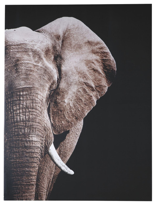 Jendayi Black / White/gray Wall Art