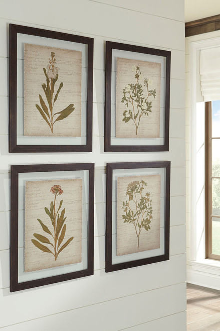 Dyani Brown Wall Art Set (Set of 4)