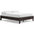 Piperton Brown / Black Queen Platform Bed