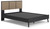 Charlang Black / Gray Queen Panel Platform Bed