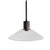 Chaness Black Glass Pendant Light