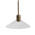 Chaness Brass Glass Pendant Light