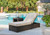 Coastline Bay Brown Chaise Lounge With Cushion