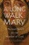 A Long Walk with Mary: A Personal Search for the Mother of God ebook