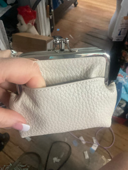 Coin Purse RFID Card Protection 2 Compartment Outside Pocket Winter White