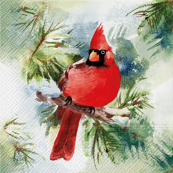 Napkins Cardinal 20 Pack 