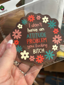 Funny Fridge Magnet – 'Don't Be A Salty Bitch' – Retro Car Magnet For Adults, Girls' Gift Idea