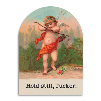 Funny Vintage Valentines Cupid Arrow Hold Still Fucker