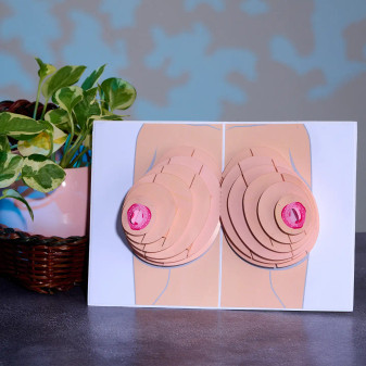 Naughty Knocker Boobs 3D Pop Up Greeting Card Motorboating