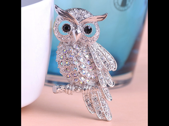 Pin, Owl Rhinestone Clear