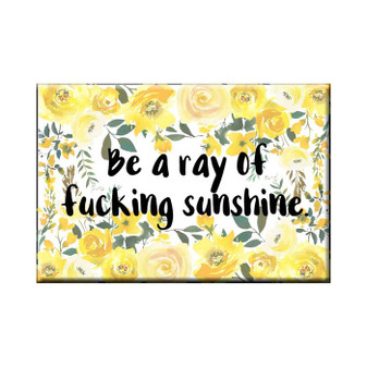 Magnet, Be A Ray Of Fucking Sunshine Magnet, Be A Ray Of Fucking Sunshine