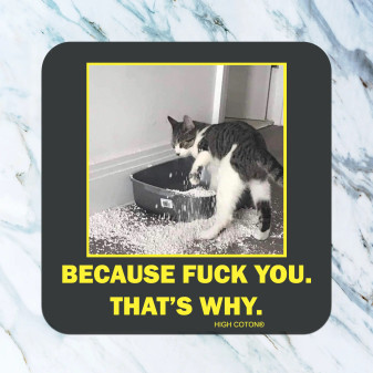 Coaster, Cat, Because Fuck You, That’s Why Coaster, Cat, Because Fuck You, That’s Why