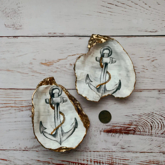 Shell, Anchor Nautical Shell, Anchor Nautical