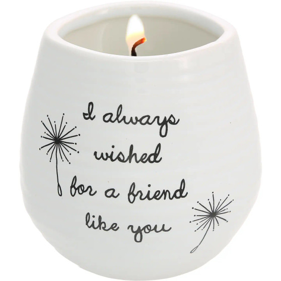 Candle, Soy I’ve Always Wished For A Friend Like You
