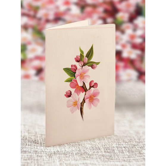 FreshCut Pop Up 3D Japanese Cherry Blossoms Greeting Card