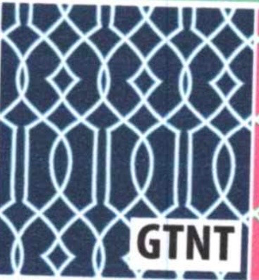 LuLu B Sleeveless 1/4 Zip Top Ladies Golf Pickle Ball UPF 50 gtnt