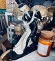 Skeleton, Dancing Couple Skull