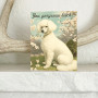 Card, Your Gorgeous Bitch Dog Poodle Blank Inside