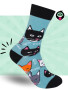 Socks, Cats Cats Cats