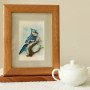 Card, Greeting Birthday Retirement Blue Jay Bird Quilling Card, Greeting Birthday Retirement Blue Jay Bird Quilling