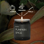 Candle Spy Pumpkin Spice Everlume