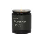 Candle Spy Pumpkin Spice Everlume